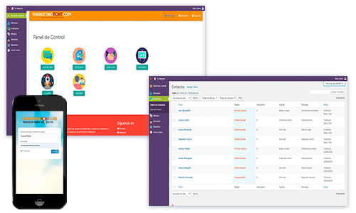 contratar diseño web para emprendedores precios